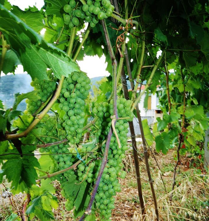 Agriturismo Barilaro Finale Ligure Luaran gambar